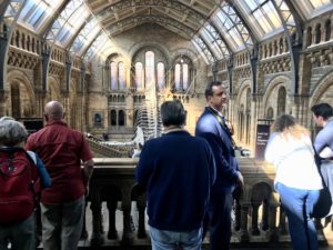 Natural History Museum Second Floor London Christian Tour
